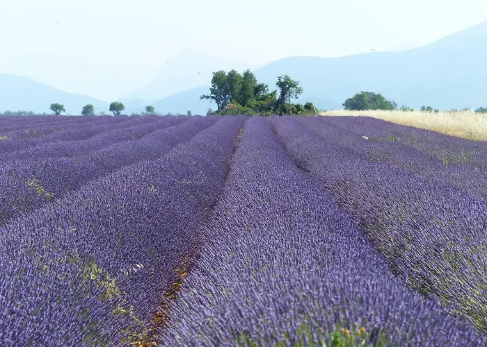 Pigeonnier Des Banons *