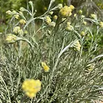 Pigeonnier Des Banons