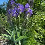 Pigeonnier Des Banons Σπίτι διακοπών *