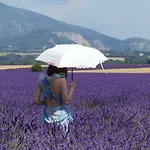 Pigeonnier Des Banons *