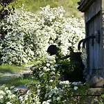 Holiday home Pigeonnier Des Banons *
