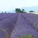 Pigeonnier Des Banons *