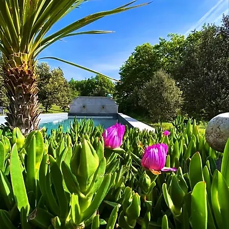 Pigeonnier Des Banons Holiday home