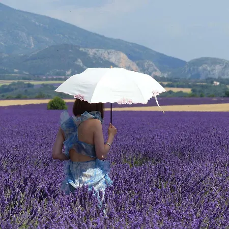 Pigeonnier Des Banons *