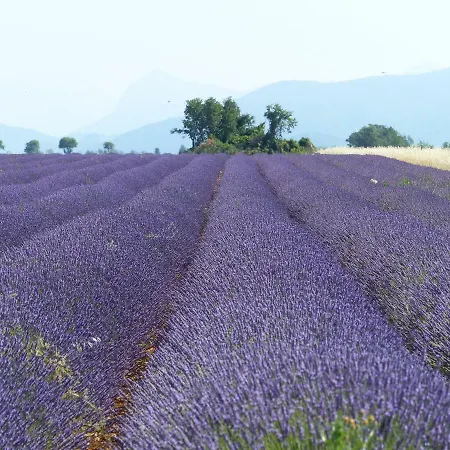 Pigeonnier Des Banons *