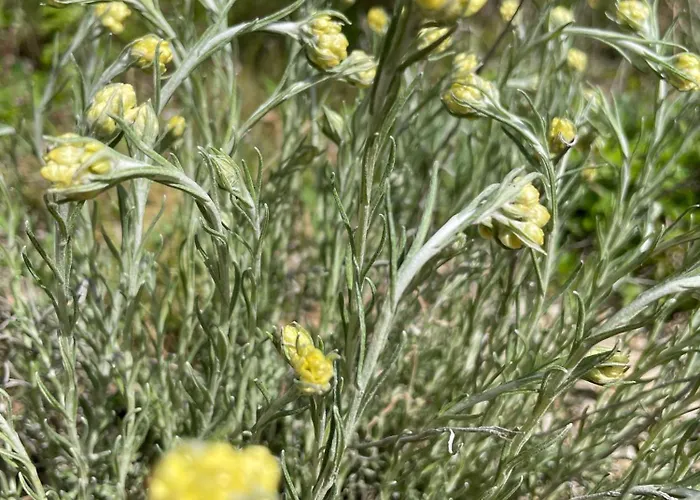 Pigeonnier Des Banons