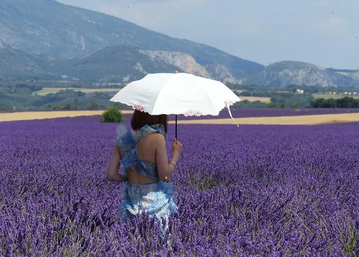 Pigeonnier Des Banons *